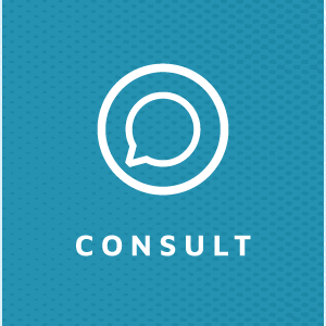 Consultancy service icon